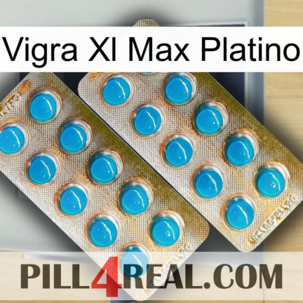 Vigra Xl Max Platinum new08